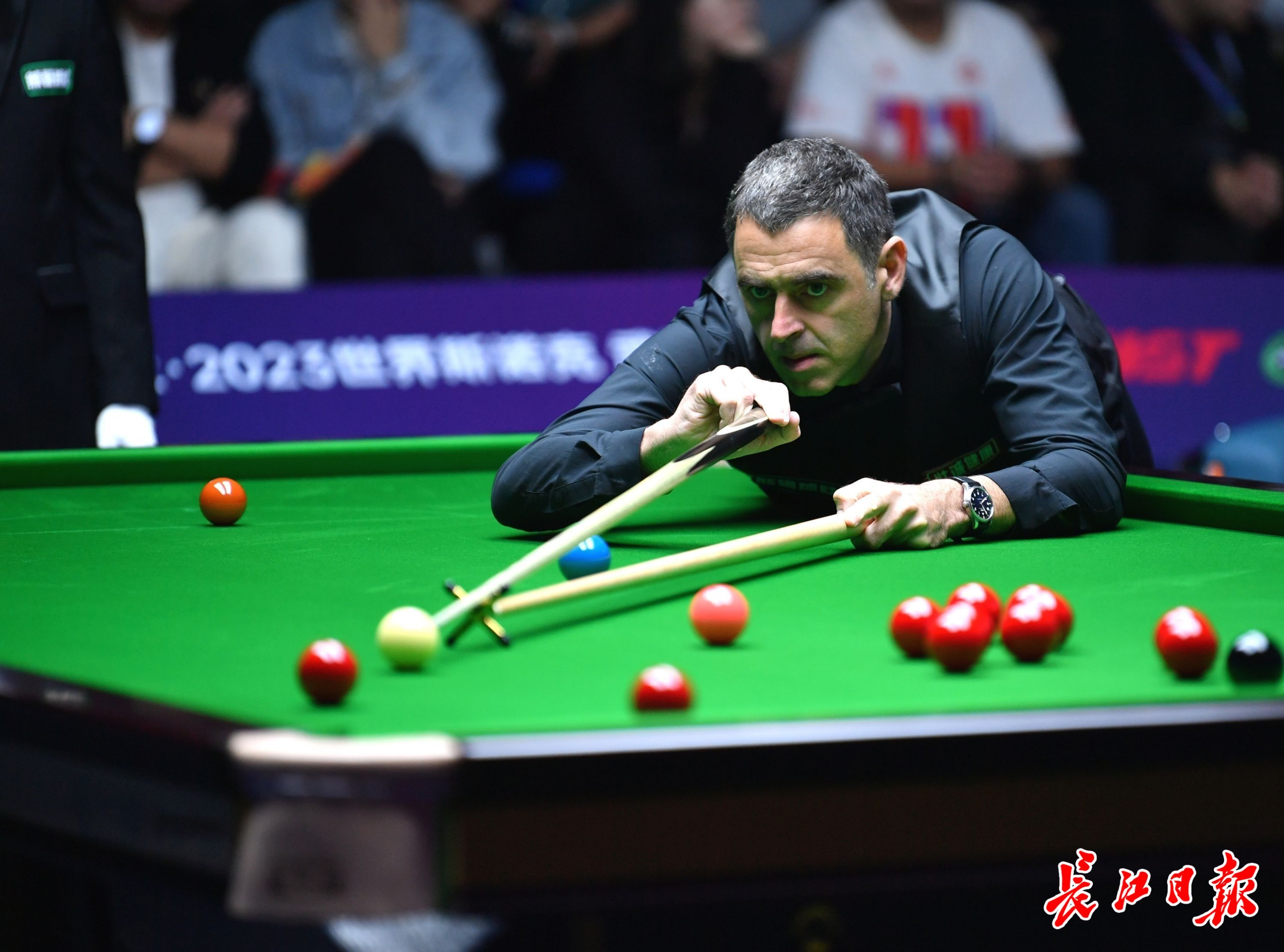 自己的职业 自己的职业